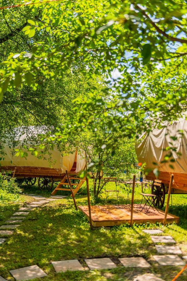 Luxury tent Dragonfly Gardens - The Wagons