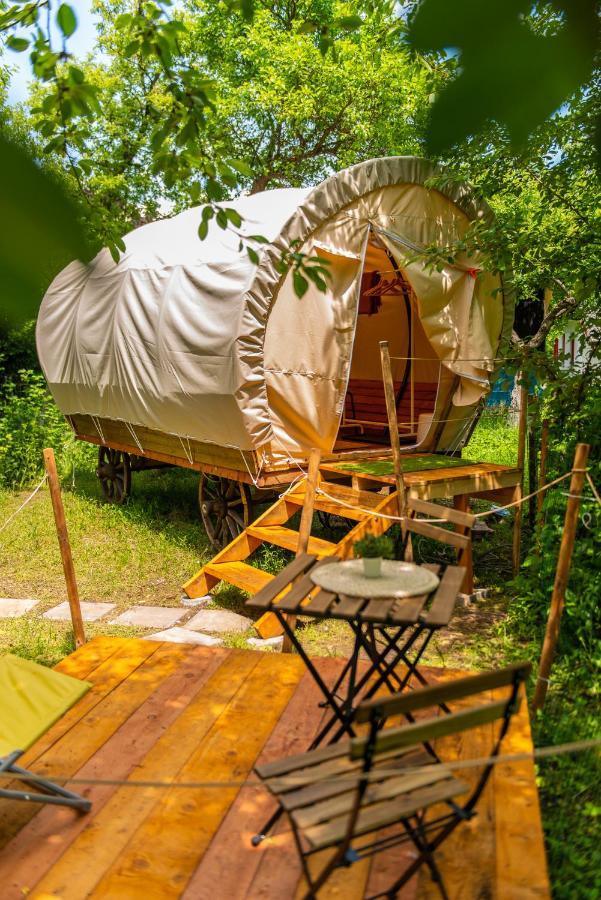 Dragonfly Gardens - The Wagons Brasov