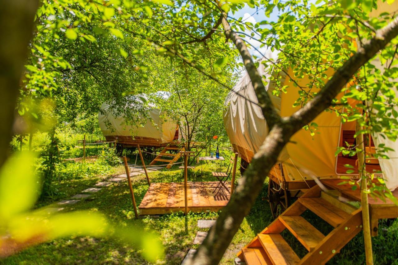 Dragonfly Gardens - The Wagons Brasov