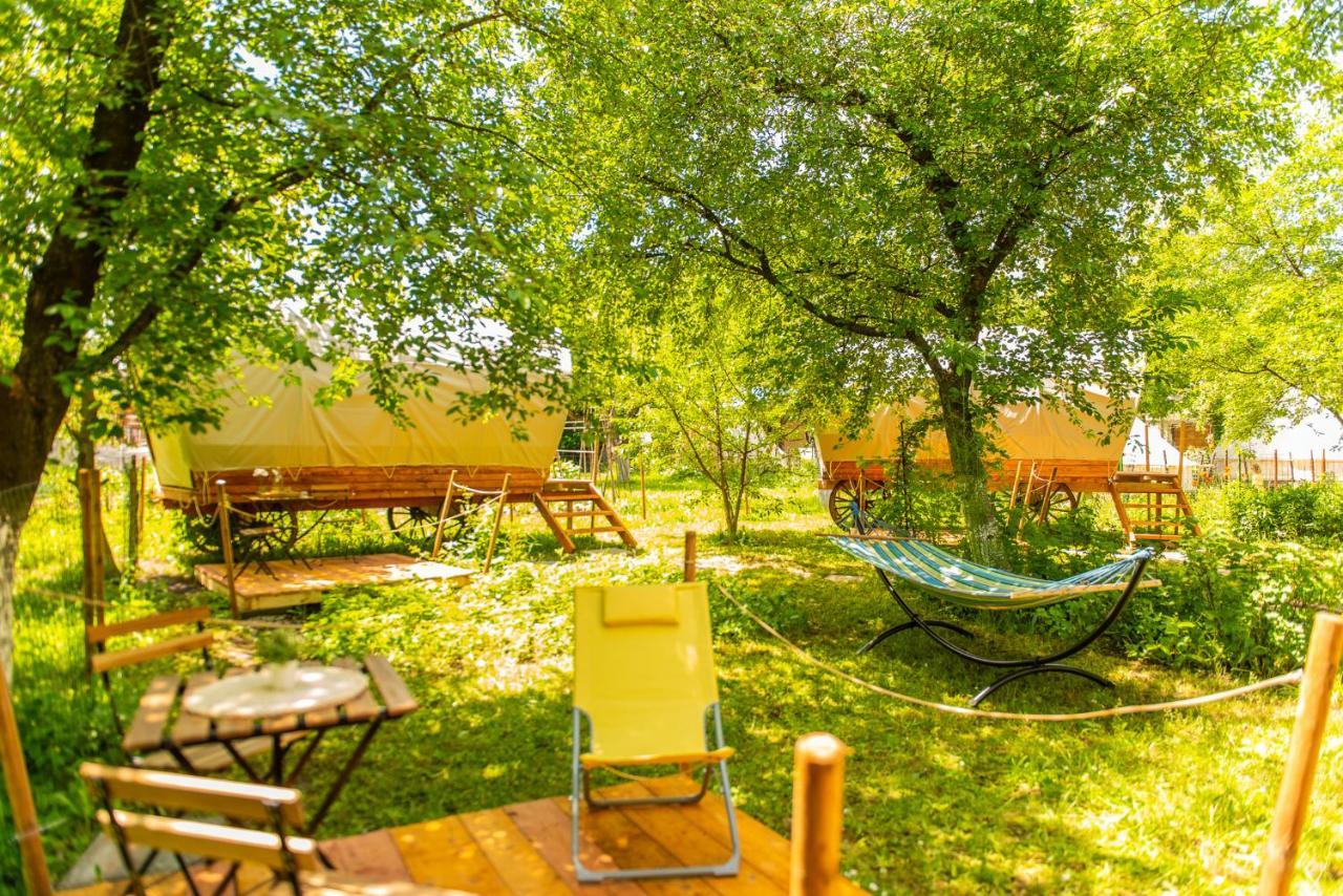 Dragonfly Gardens - The Wagons Luxury tent Brasov