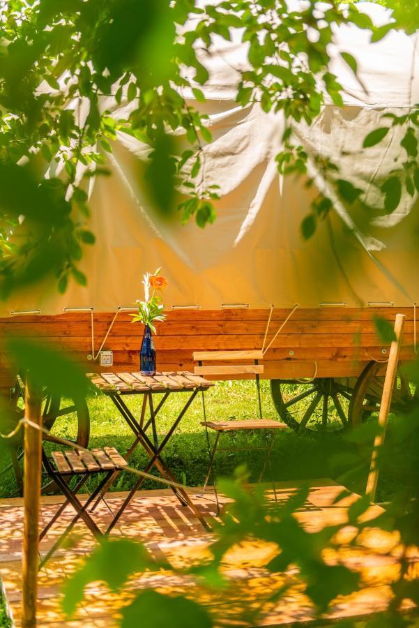 Dragonfly Gardens - The Wagons Luxury tent *