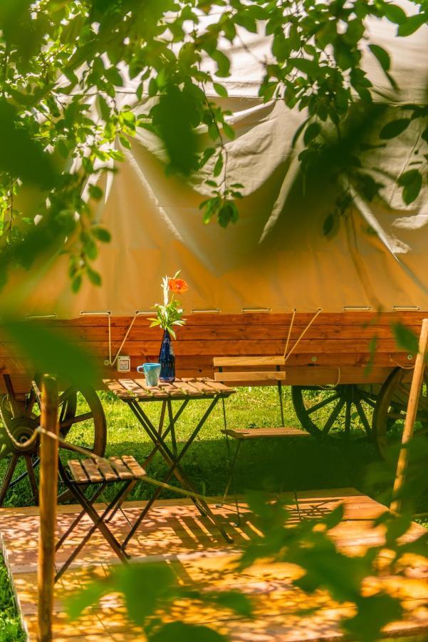 Luxury tent Dragonfly Gardens - The Wagons *