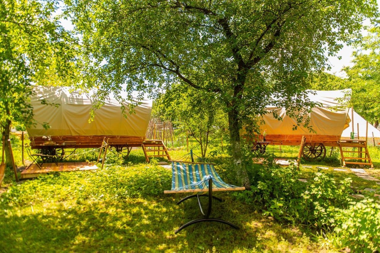Luxury tent Dragonfly Gardens - The Wagons *