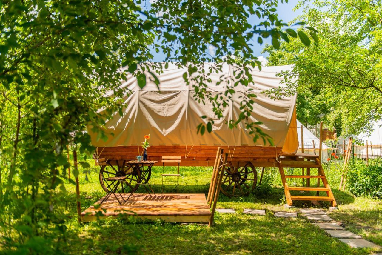 Dragonfly Gardens - The Wagons Luxury tent Brasov