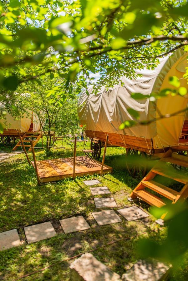 Dragonfly Gardens - The Wagons Luxury tent *