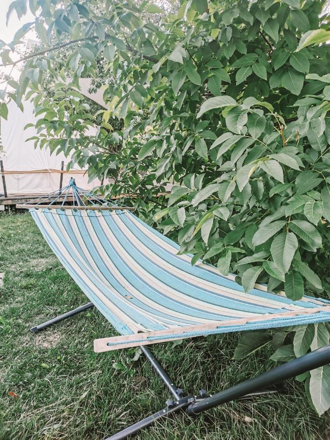 Dragonfly Gardens - The Wagons Luxury tent