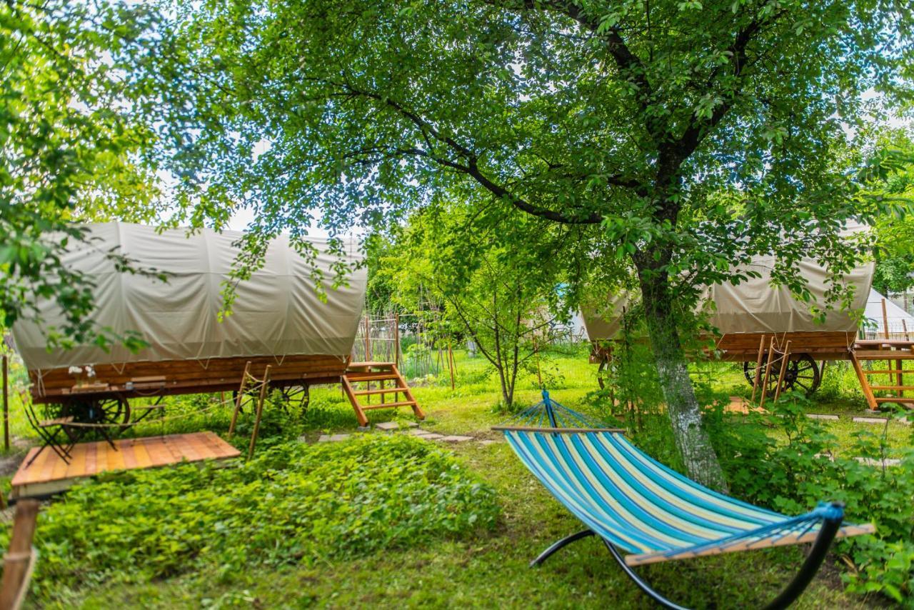 Luxury tent Dragonfly Gardens - The Wagons Brasov