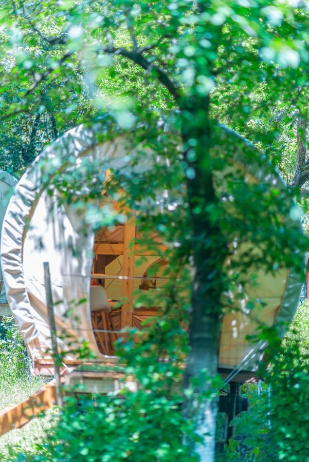 Dragonfly Gardens - The Wagons Luxury tent *