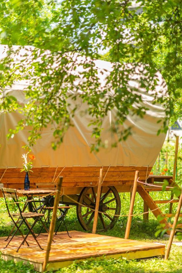 Dragonfly Gardens - The Wagons Luxury tent