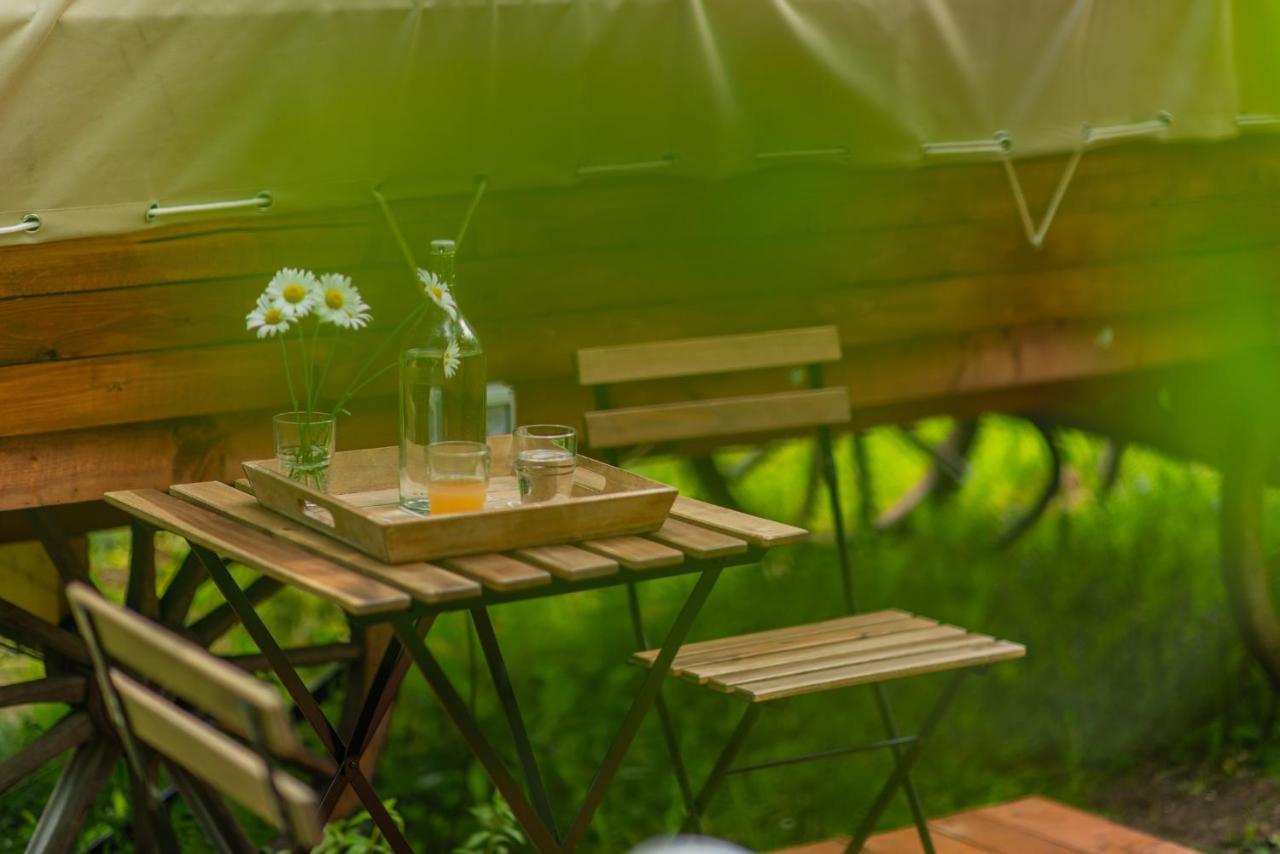 Luxury tent Dragonfly Gardens - The Wagons *