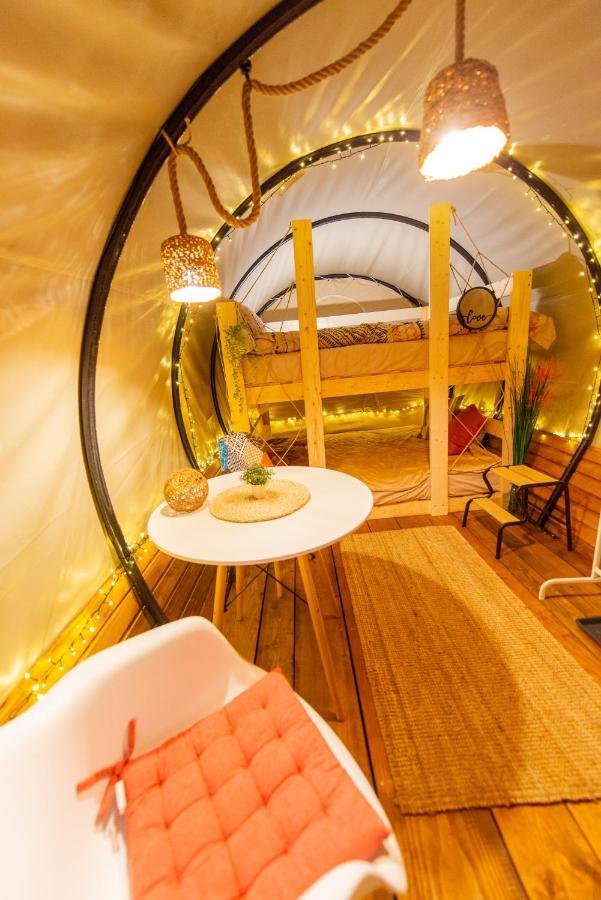 Dragonfly Gardens - The Wagons Brasov