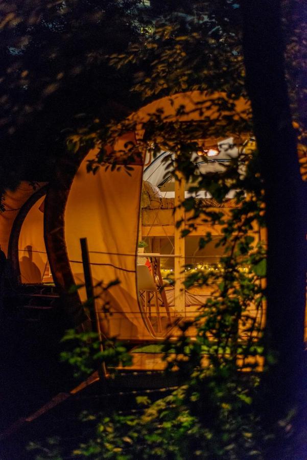 Dragonfly Gardens - The Wagons Luxury tent *