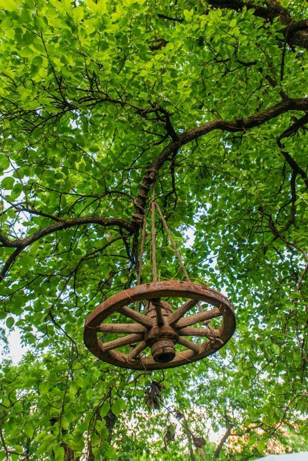 Dragonfly Gardens - The Wagons Luxury tent Brasov