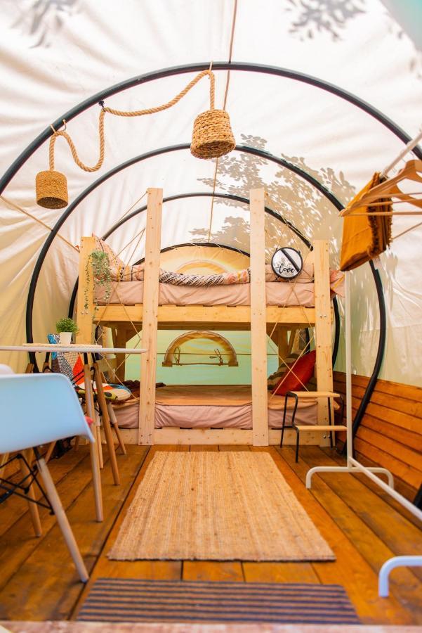 Dragonfly Gardens - The Wagons * Brasov